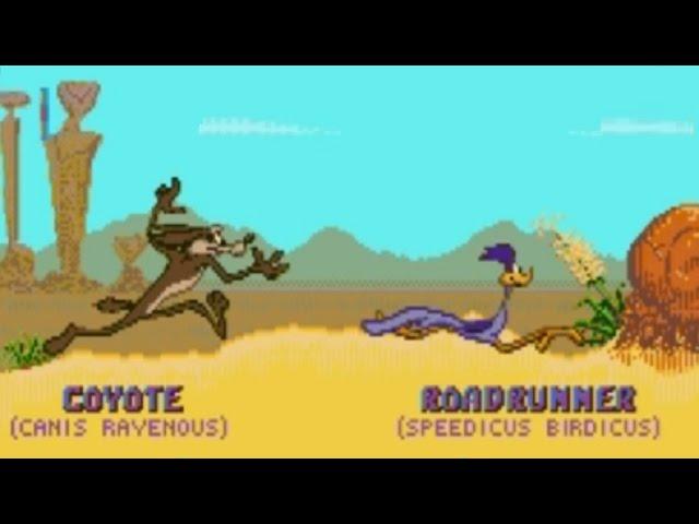 Desert Demolition Starring Road Runner and Wile E. Coyote (Genesis) Playthrough - NintendoComplete