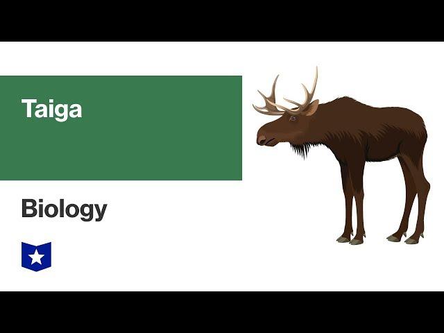 Taiga Biome | Biology