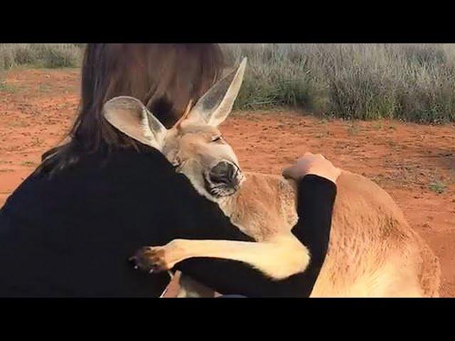 30 Times Humans Helped Animals And Got Thanked In The Cutest Way