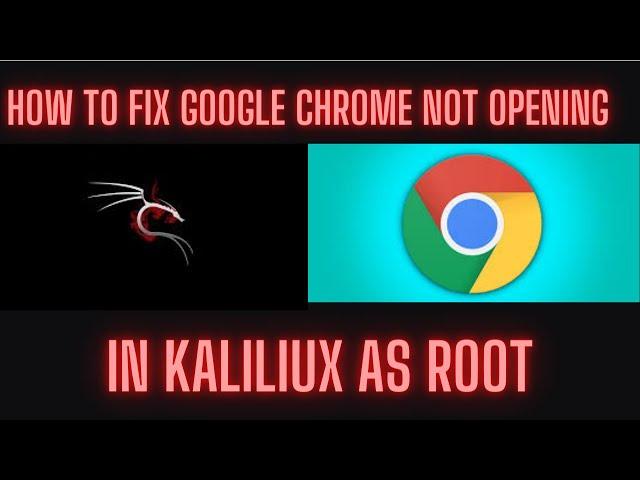 how to Fix Google Chrome Not Opening On Kali Linux | 100%