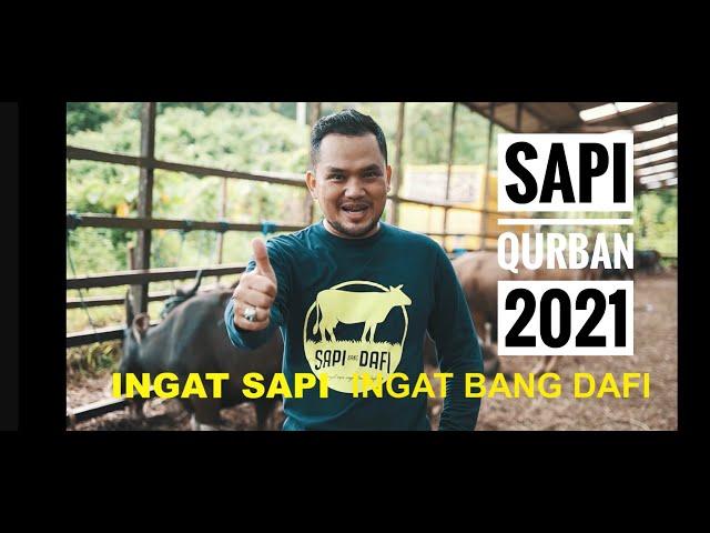 SAPI QURBAN 2021-Siap Kirim Seluruh Kalimantan Timur