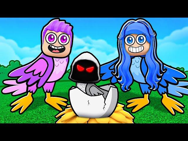 ROBLOX HAVE A BIRD FAMILY!!