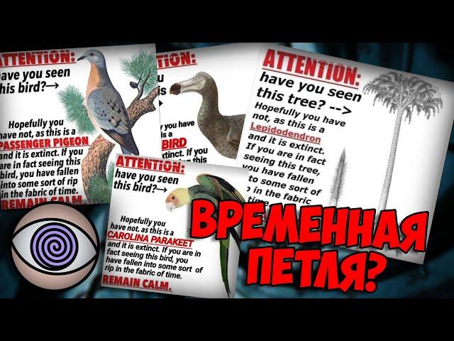 ЕСЛИ ТЫ ЭТО УВИДЕЛ - ЗНАЧИТ ТЫ ВО ВРЕМЕННОЙ ПЕТЛЕ! // Лепидодендрон