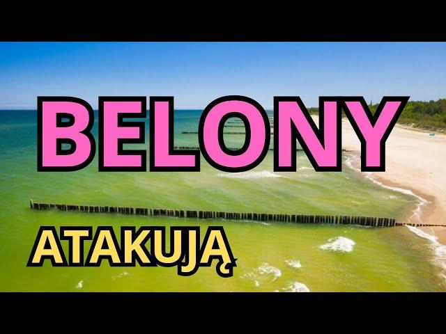 Łowimy belony  i trocie na Bałtyku [dużo brań]. Trolling czy spinning ? SEZON 2 EPISODE 22