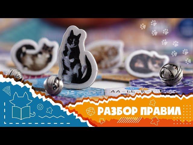 Полные правила настольной игры "Котики" [How to play Calico]