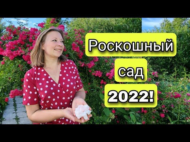 Цветущий сад в июле 2022 | Сказочный сад по Вашим заявкам | Что цветет в июле