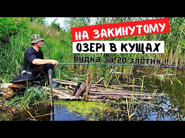 Рибалка в Польщі за ДАРМО!!! на закинутому озери!!!