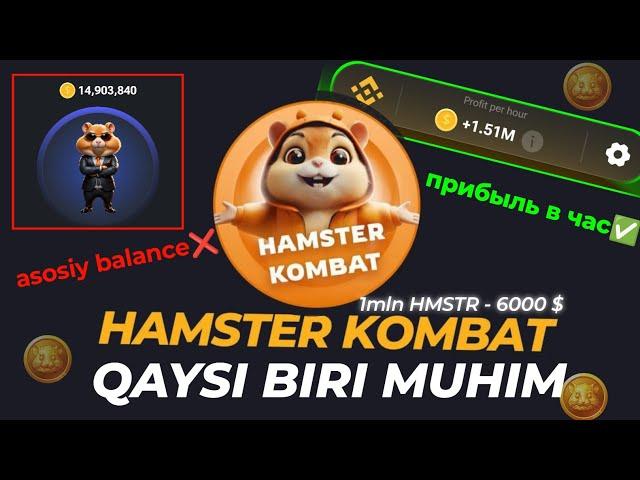 HAMSTER KOMBAT - Pul yechish haqida to'liq malumotlar Qaysi bir muhim Прибыл в час Yoki asosiymi ?