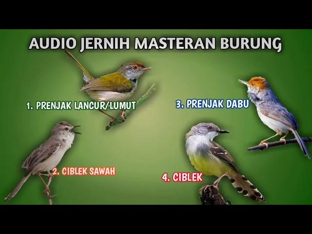 FULL AUDIO MASTERAN ISIAN CIBLEK, PRENJAK, CIWAH, PRENJAK LANCUR !! AUDIO JERNIH