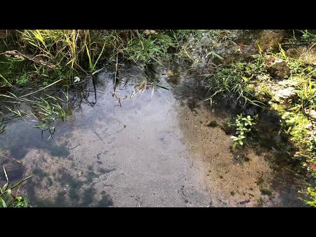 Natural spring water bubbling up from the ground