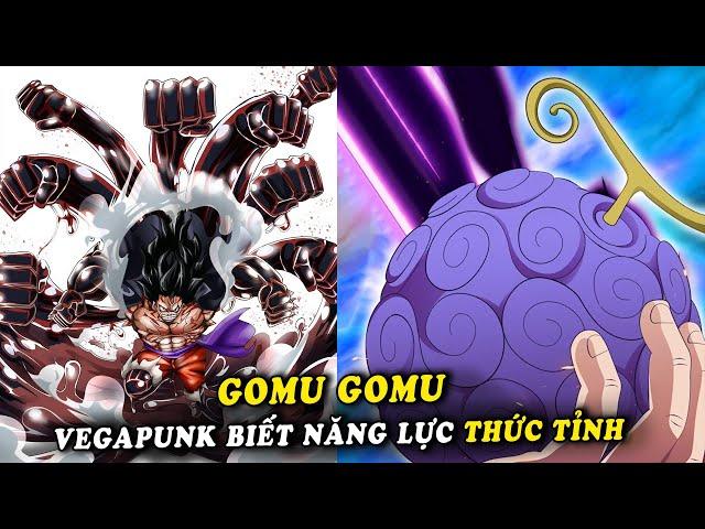 Vegapunk nghiên cứu sức mạnh thức tỉnh trái cao su Gomu Gomu - ( One Piece 1017+ )