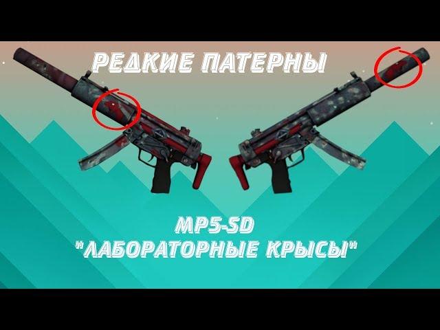 Редкие патерны MP5-SD лабораторные крысы