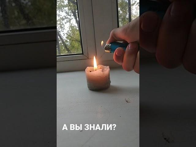 А ВЫ ЭТО ЗНАЛИ?