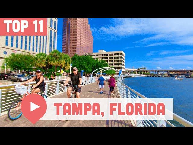 Best Things to Do in Tampa, Florida