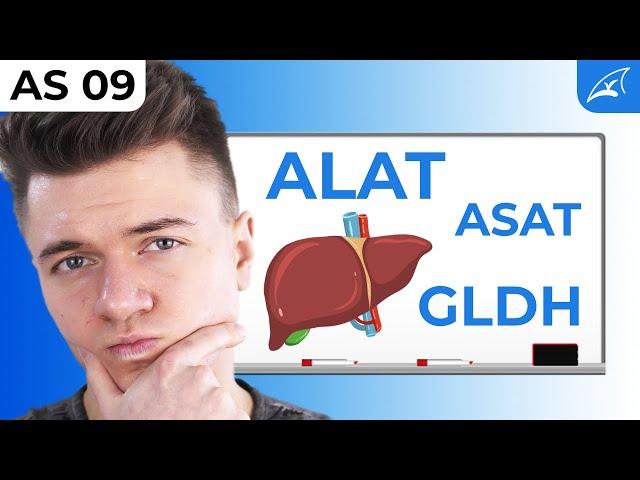 Transaminierung und Desaminierung - einfach erklärt! // Leberenzyme ALAT, ASAT & GLDH