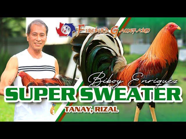 FARM VISIT: SUPER SWEATER - of Mr. Biboy Enriquez FIREBIRD GF