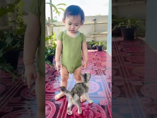 kmu nakal jgn kemana2  #kucing #kucinglucu #shorts #shortvideo #feedshorts