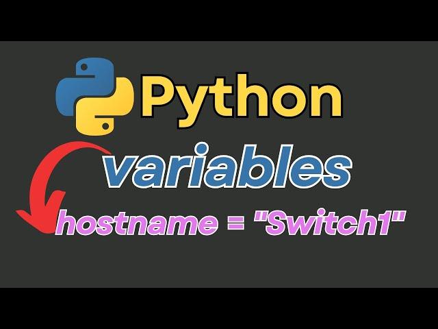 Python Basics: Variables Explained with Networking CRUD Examples