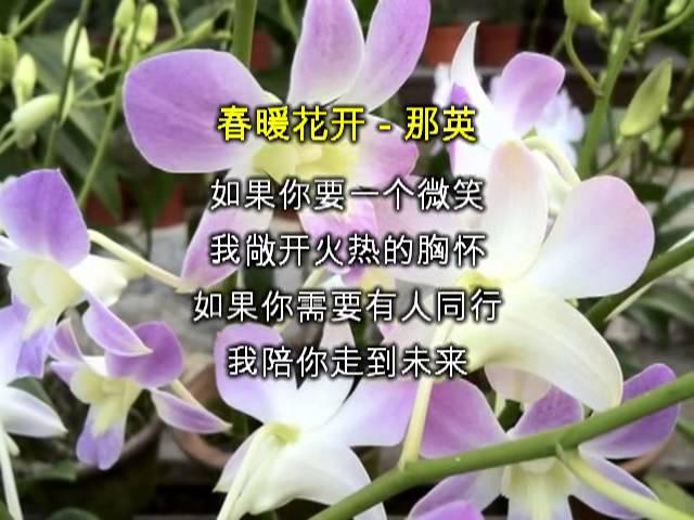 春暖花开 - 那英