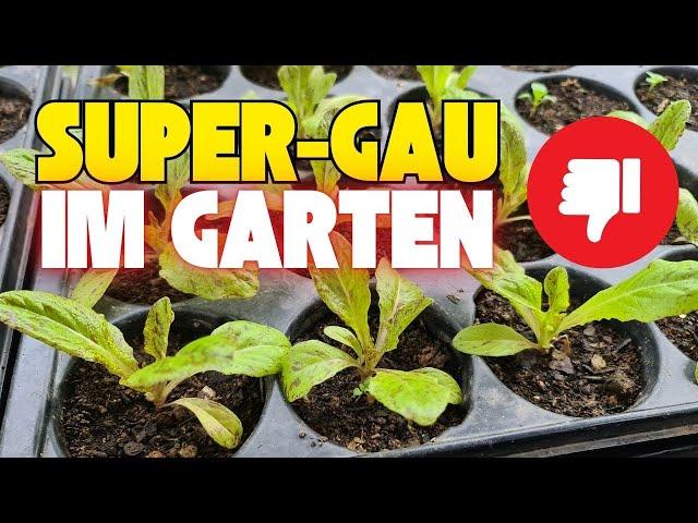 Super GAU im Garten & Status-Update Ende Januar | kalte Voranzucht