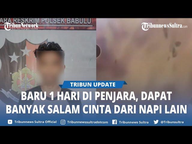 Video Viral Kondisi Pelaku Pembunuhan 1 Keluarga di Babulu Berubah Ungu, Disiksa Napi di Penjara