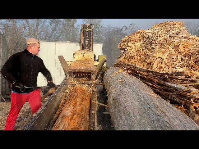 Live Stream: From Logs to Wood Chips