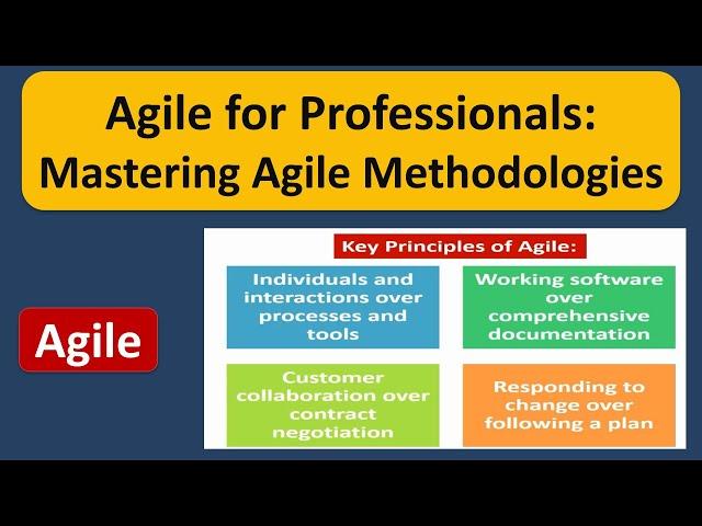Agile for Professionals: Mastering Agile Methodologies