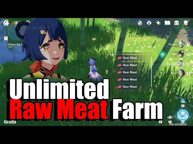 Genshin Impact 1.2 Farm Unlimited Raw Meat Glitch
