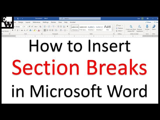 How to Insert Section Breaks in Microsoft Word (PC & Mac)