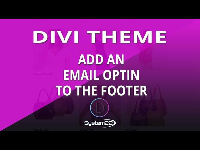 Divi Theme Add An Email Optin To The Footer 