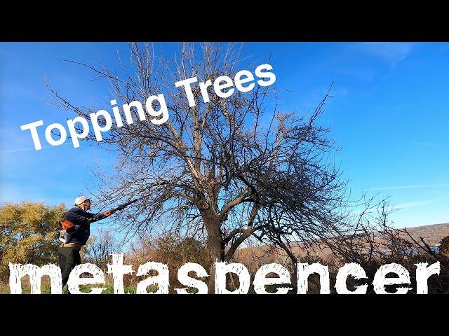 Topping Trees