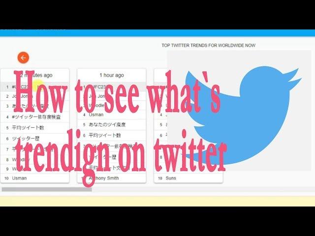 How to see what is trending on twitter, popular topics