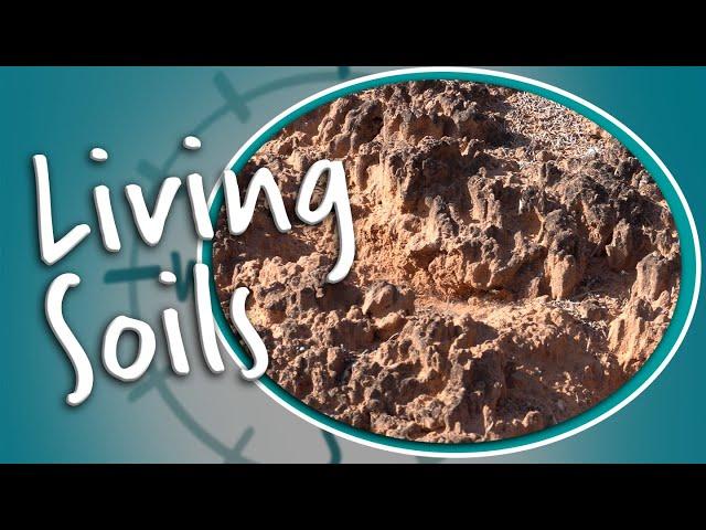 Learning about Living Soils with Dr. Lydia Jennings - Arches National Park | OutSCIder Classroom