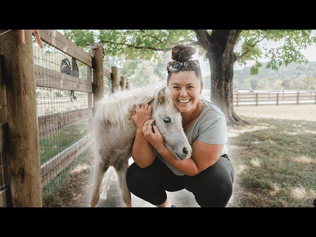 Weaning a miniature horse - Squirt, you made this insanely easy