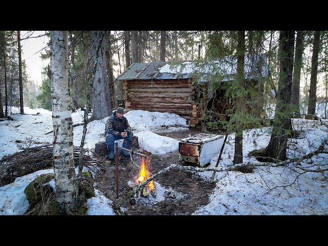 SOLO LIVING IN A LOG CABIN OFF GRID. IN THE WILDERNESS.