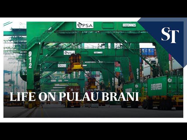 Life on Pulau Brani | The Strait Times