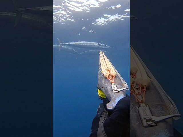 Disparo PELIGROSO Pescando Con Arpón