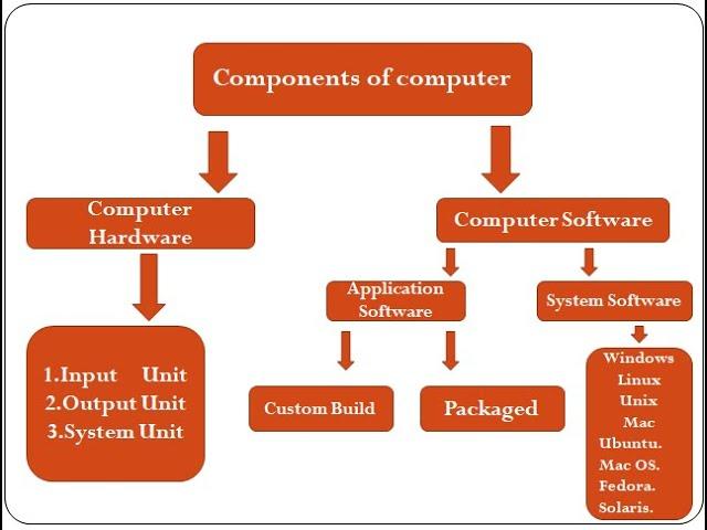 MCQ Related to  COMPUTER HARDWARE AND COMPUTER SOFTWARE FPSC ,PPSC,NTS,NAT ,GAT,ugcnet in urdu/hindi