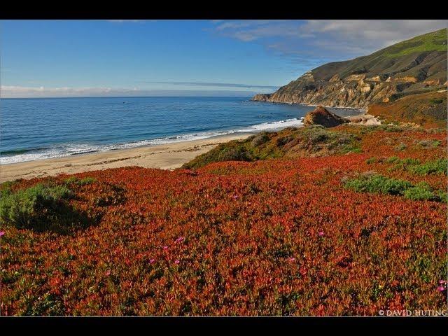 "The California Coast" (w Music) 1 HR HEALING Nature Relaxation Video w Music  1080p