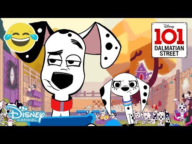 101 Dalmatian Street | Dancing - Animals vs Humans | Disney Channel UK