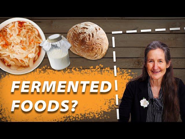 Are Fermented or Cultured Foods Good for Us? - Barbara O'Neill