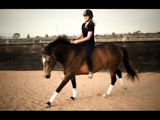 Bridleless Riding and Liberty