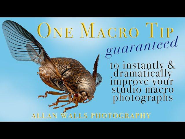 One Macro Tip - a guaranteed winner