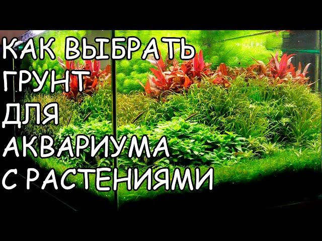 КАК ВЫБРАТЬ ГРУНТ ДЛЯ АКВАРИУМА С РАСТЕНИЯМИ