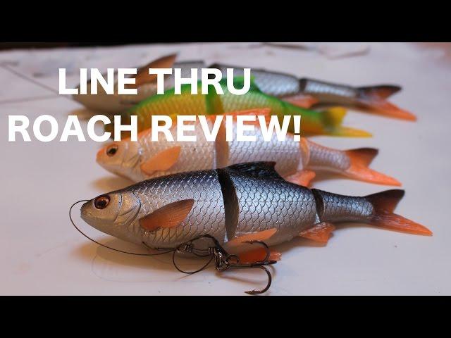 THE LURE CHALLENGE! EP.2 - Savage Gear line thru roach review