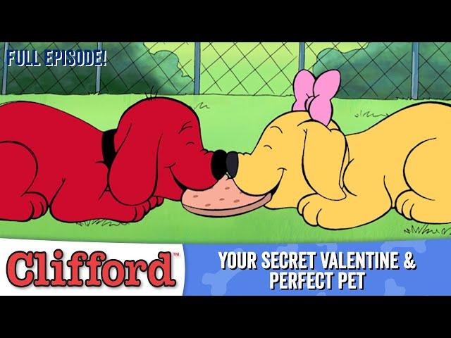 Puppy Days  - Your Secret Valentine | Perfect Pet (HD - Full Episodes)