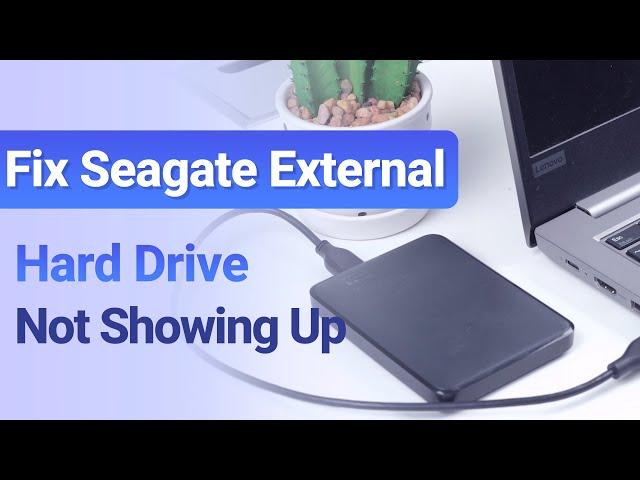 【Fixed】Seagate External Hard Drive Not Showing Up | Works on Windows 11