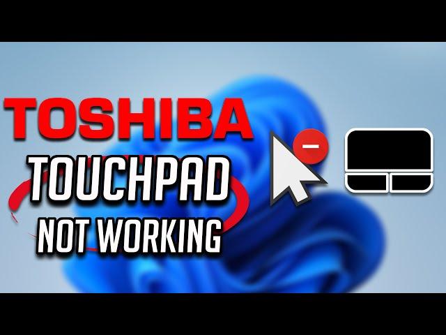 Toshiba Touchpad Not Working in Windows 11 - [2024 Tutorial]