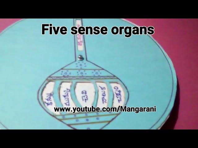 Easy Multi purpose tlm | Mangarani lessons