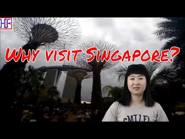 Why visit Singapore? 